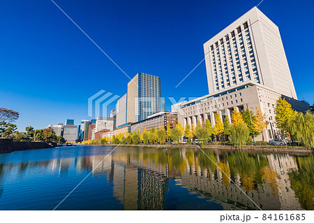 （東京）日比谷濠　イチョウ並木　紅葉 84161685