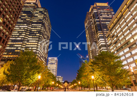(東京)丸の内 行幸通りの銀杏並木・紅葉・ライトアップ (東京)丸の内 行幸通りの銀杏並木・紅葉・ライトアップ 84162618