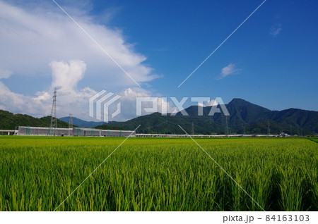 日野山と建設中の北陸新幹線 越前たけふ駅 福井県越前市 2021年7月 日野山と建設中の北陸新幹線 越前たけふ駅 福井県越前市 2021年7月 84163103