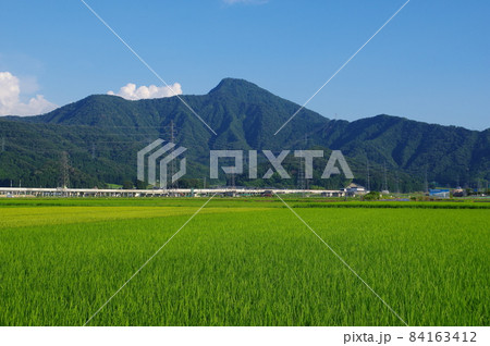 日野山と麓の北陸新幹線　福井県越前市 84163412