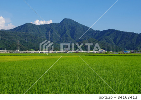 日野山と麓の北陸新幹線　福井県越前市 84163413