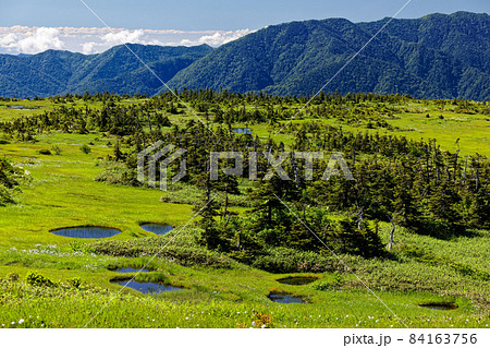 夏の苗場山山上湿原の風景 夏の苗場山山上湿原の風景 84163756
