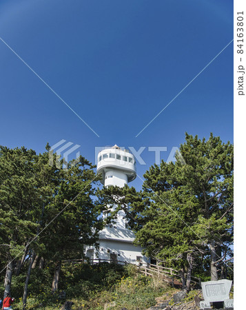 伊豆 城ヶ崎海岸の風景 伊豆 城ヶ崎海岸の風景 84163801