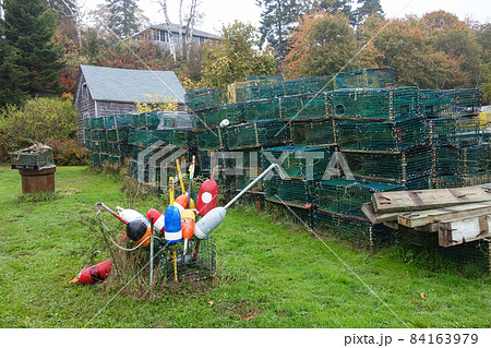 ロブスターの有名なロングアイランド島 84163979