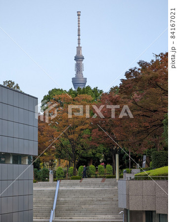 江東公会堂 ティアラこうとう 江東公会堂 ティアラこうとう 84167021