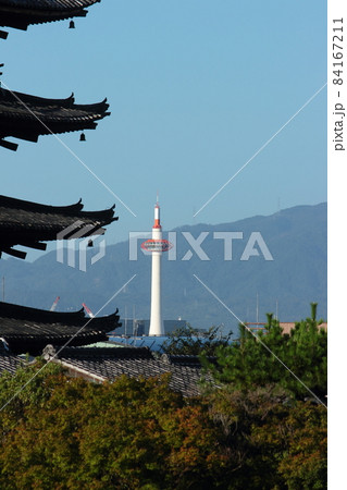 京都　八坂から見た京都タワー 84167211