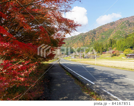 美山かやぶき由良里街道沿いの紅葉 84167851