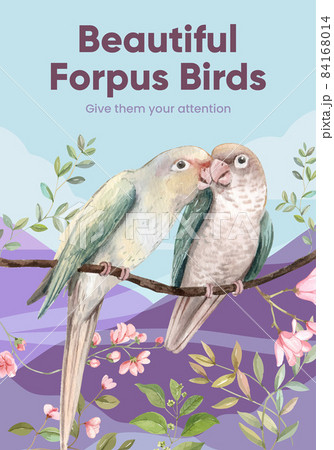 Poster template with forpus bird concept,watercolor style 84168014