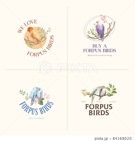 Logo design with forpus bird concept,watercolor style 84168020