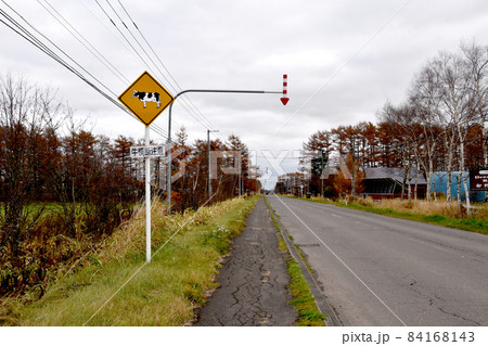 道路標識(牛) 道路標識(牛) 84168143