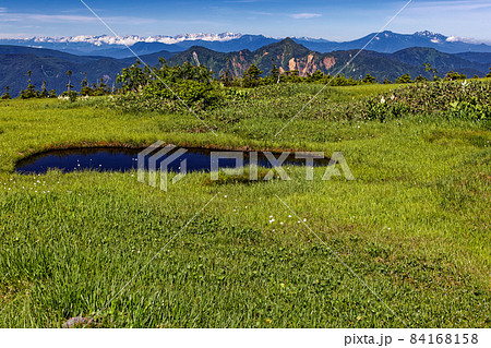 夏の苗場山山上湿原から見る鳥甲山と妙高・火打連峰 84168158