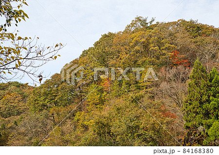 旧北陸トンネル群 旧北陸トンネル群 84168380