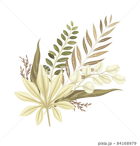 Wild dried plants and flowers. Bouquet in trendy colors for your own design vector illustration Wild dried plants and flowers. Bouquet in trendy colors for your own design vector illustration 84168979