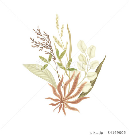 Bouquet of wild dried flowers in trendy colors for your own design vector illustration Bouquet of wild dried flowers in trendy colors for your own design vector illustration 84169006