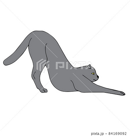 Vector hand drawn doodle sketch colored cat 84169092