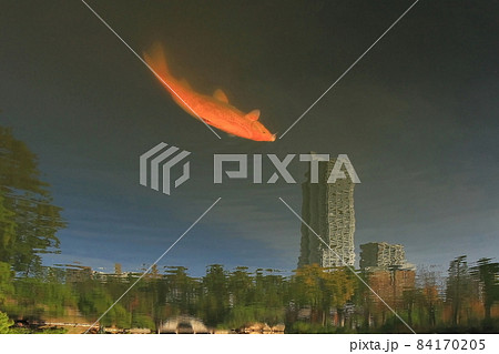 縮景園　跨虹橋　反転 84170205