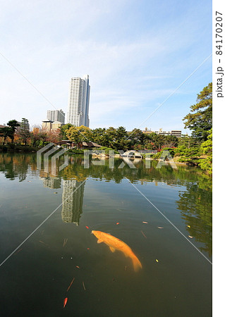 縮景園　跨虹橋 84170207