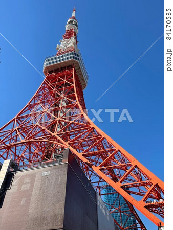 見上げる東京タワー 84170535