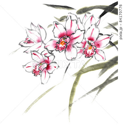 水彩画(蘭シンピジュゥム) 蘭 黄色