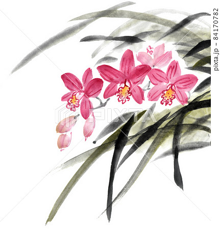 水墨画技法で描いたシンビジウム 水墨画技法で描いたシンビジウム 84170782