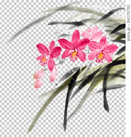 水墨画技法で描いたシンビジウム 水墨画技法で描いたシンビジウム 84170782