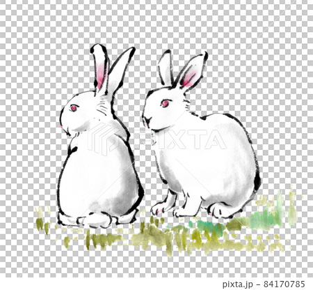 用水墨畫技法繪製的兩隻兔子 84170785