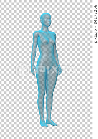女性の体 ボディ 透明の3dモデルのイラスト素材