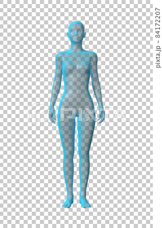 Female body, body, transparent 3D model 84172207