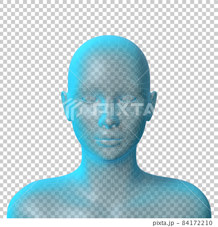 女性の頭部 3dモデル 透明のイラスト素材
