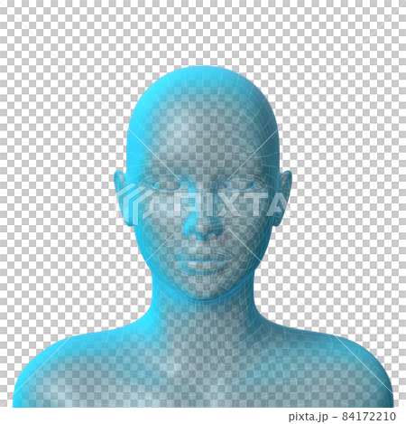 女性の頭部 3dモデル 透明のイラスト素材