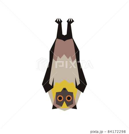 ダイトウオオコウモリのイラスト ダイトウオオコウモリのイラスト 84172298