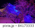 ライトアップ　姫路城と秋の桜 84173333