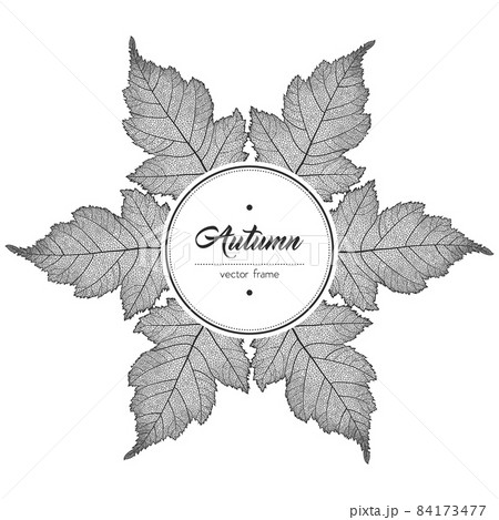 Round black and white autumn leaf frame Round black and white autumn leaf frame 84173477