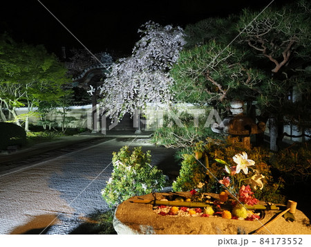 京都妙顕寺夜景 84173552