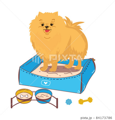 Dog pet puppy sitting with the food bowl gift food.dog breed pomeranian spitz. the dog is standing next to a bowl of food 84173786