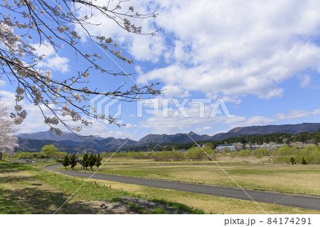 桜 宮城の小さな温泉 川渡温泉にて 桜 宮城の小さな温泉 川渡温泉にて 84174291