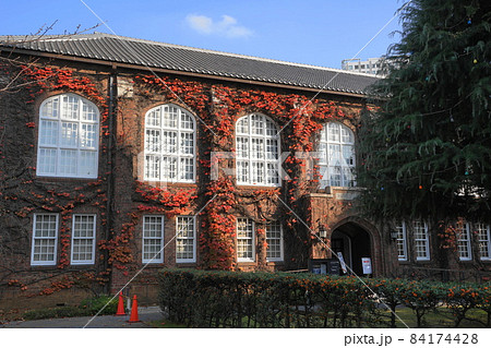 11月 豊島24立教大学校舎とツタ(蔦)の紅葉 11月 豊島24立教大学校舎とツタ(蔦)の紅葉 84174428