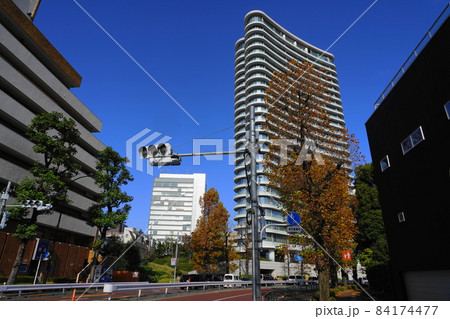 11月　港区1576ユリノキ並木の紅葉･南青山･環状3号線 84174477