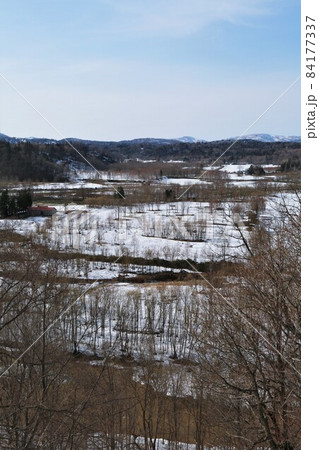 北海道の風景・春を待つ（北海道幌加内町） 84177337