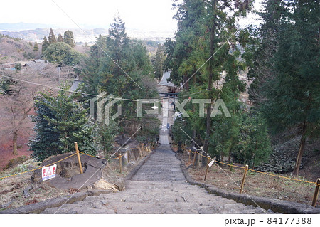 妙義神社 84177388