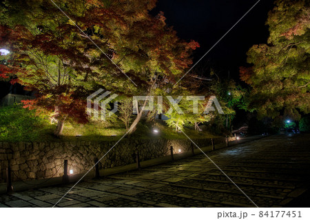 くろ谷　金戒光明寺紅葉ライトアップ2021 84177451