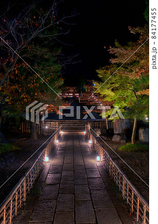 くろ谷　金戒光明寺紅葉ライトアップ2021 84177455