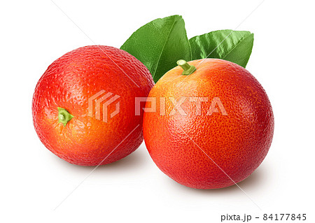 Blood red oranges isolated on white background with clipping path and full depth of field Blood red oranges isolated on white background with clipping path and full depth of field 84177845