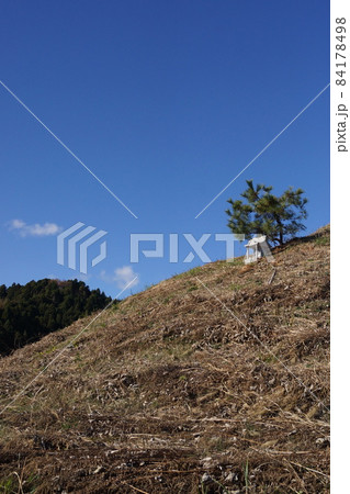 甲塚古墳(福島県いわき市) 甲塚古墳(福島県いわき市) 84178498