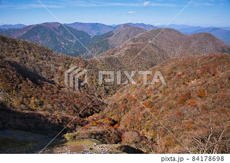 伊吹山　ドライブウェイ　絶景秋景色2021 84178698