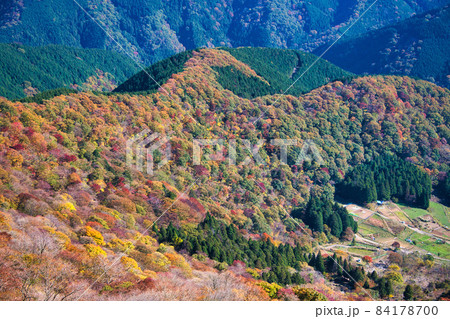 伊吹山 ドライブウェイ 絶景秋景色2021 伊吹山 ドライブウェイ 絶景秋景色2021 84178700