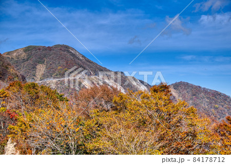 伊吹山　ドライブウェイ　絶景秋景色2021 84178712