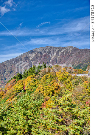 伊吹山 ドライブウェイ 絶景秋景色2021 伊吹山 ドライブウェイ 絶景秋景色2021 84178718