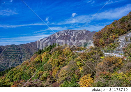 伊吹山　ドライブウェイ　絶景秋景色2021 84178719