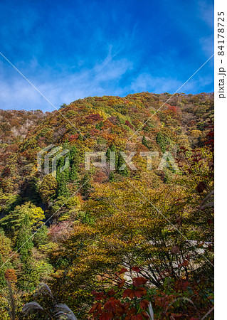 伊吹山 ドライブウェイ 絶景秋景色2021 伊吹山 ドライブウェイ 絶景秋景色2021 84178725